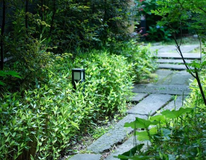 秋子想／ＴＯＫＩＫＯＳＯ ガーデン