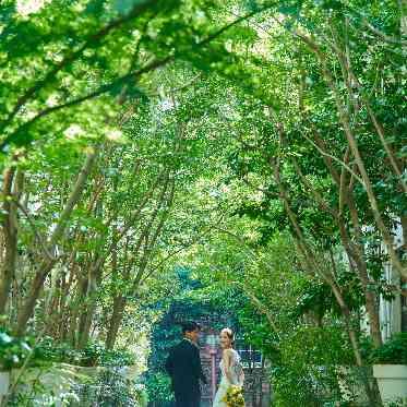 目白の森 メーヤー・ライニンガー 緑あふれる空間で、木漏れ日を感じながらたいせつなひとときを