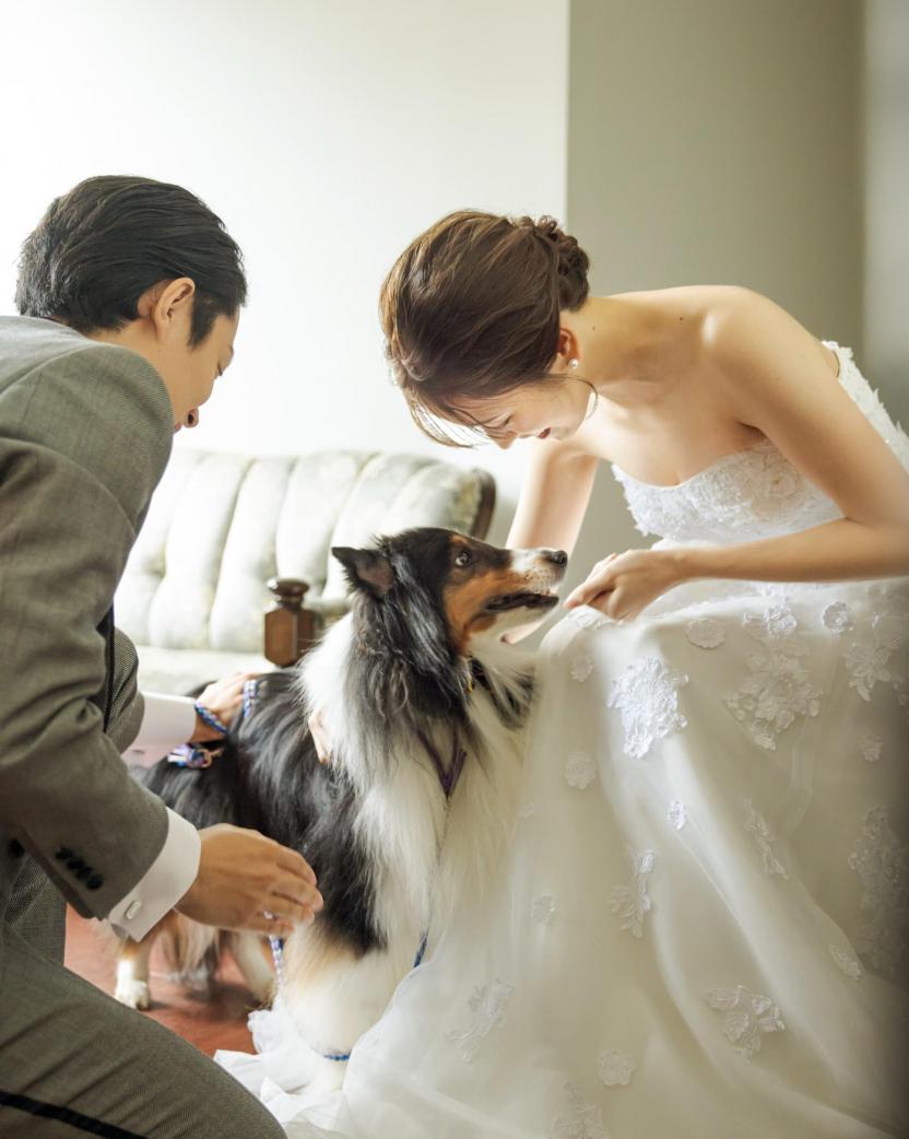 目白の森 メーヤー・ライニンガー 外観