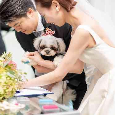 JASMAC YAKUMO(ジャスマック八雲) 可愛いワンちゃんの肉球スタンプ