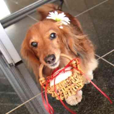 JASMAC YAKUMO（ジャスマック八雲） リングドックとして大活躍！