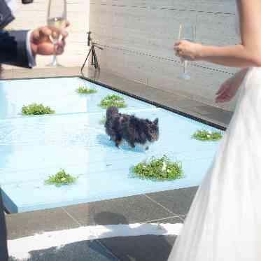 JASMAC YAKUMO(ジャスマック八雲) 大役後はプールでちょっとお遊び♪