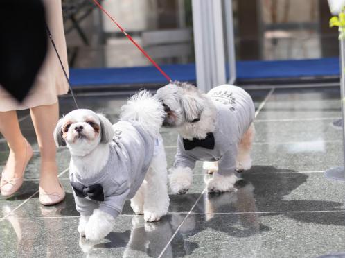 JASMAC YAKUMO（ジャスマック八雲） 挙式会場