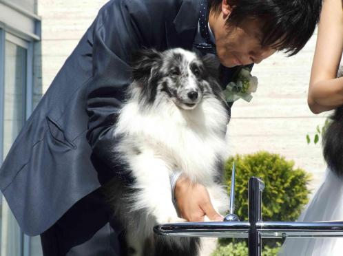 JASMAC YAKUMO（ジャスマック八雲） 挙式会場