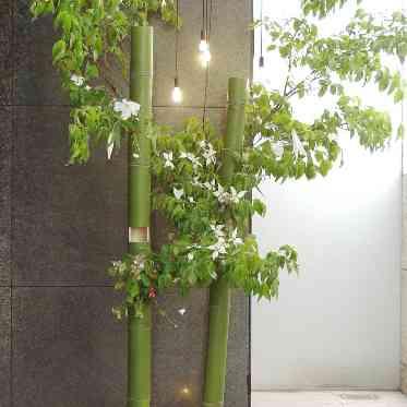 JASMAC YAKUMO(ジャスマック八雲) エントランス装飾