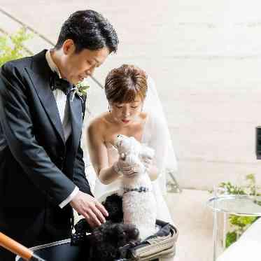 JASMAC YAKUMO(ジャスマック八雲) メイン会場内のすべてペットOK!