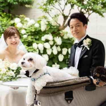 みんなでテラスで出番待ち