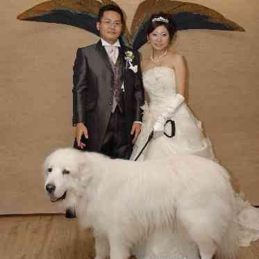 JASMAC YAKUMO（ジャスマック八雲） 大型犬もOK
