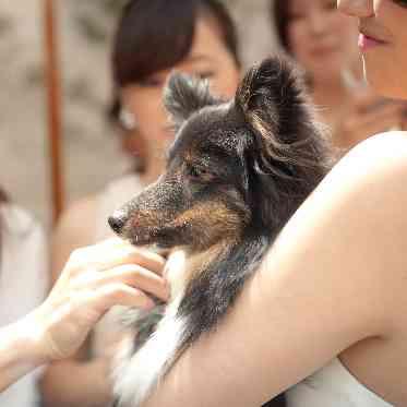 JASMAC YAKUMO(ジャスマック八雲) テラスでもずっと一緒