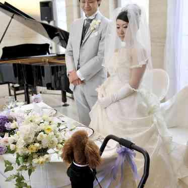 JASMAC YAKUMO(ジャスマック八雲) メインテーブルの横で待機