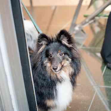 JASMAC YAKUMO（ジャスマック八雲） 出番待ちです