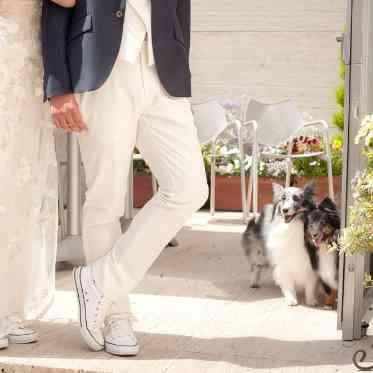 おふたりのフォト撮影を見守るワンちゃんたち