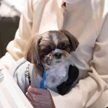 ゲストのお席にお邪魔します。