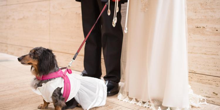 JASMAC YAKUMO（ジャスマック八雲） 外観