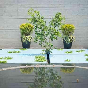 JASMAC YAKUMO(ジャスマック八雲) 2階プール付きテラス