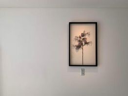 ジャスマック八雲 ドレス・衣装の写真3