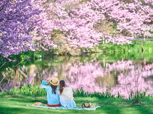 軽井沢プリンスホテル フォレスターナ軽井沢 ガーデン