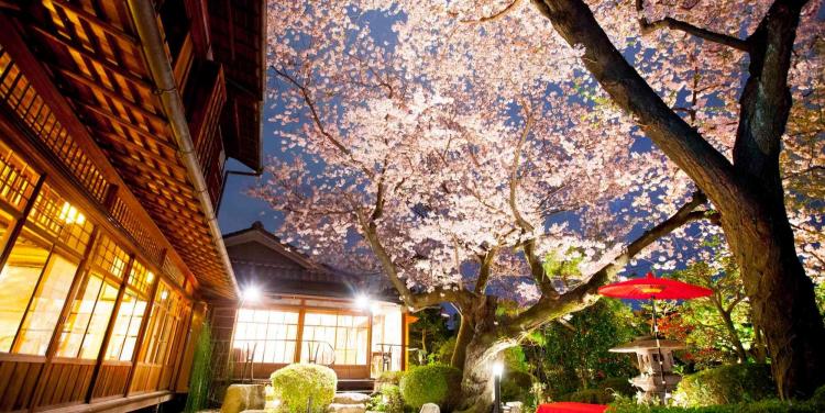 北野異人館　旧ハンター邸 ガーデン