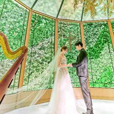 アーヴェリール迎賓館（名古屋）/テイクアンドギヴ・ニーズウェディング 鮮やかなグリーンが彩る上質空間