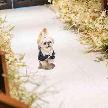 アーヴェリール迎賓館（名古屋）/テイクアンドギヴ・ニーズウェディング かわいい登場にゲストも大盛り上がり！