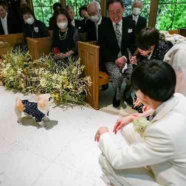 アーヴェリール迎賓館（名古屋）/テイクアンドギヴ・ニーズウェディング 笑顔溢れる時間に