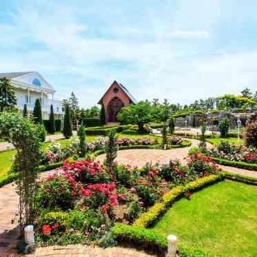 シェラトン・グランデ・トーキョーベイ・ホテル 春と秋には色鮮やかなバラが咲き誇る、1万平米のローズガーデン