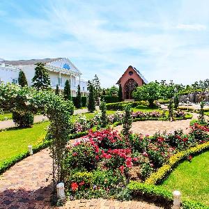 シェラトン・グランデ・トーキョーベイ・ホテル ガーデンはゲストの皆様にもお楽しみいただける気持ちのよい場所