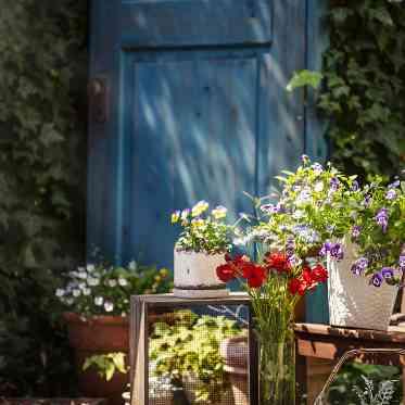 アールベルアンジェ チャペル嵯峨野