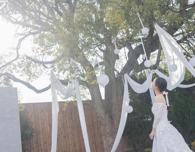 ベルクラシック姫路 ガーデン