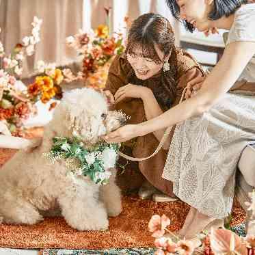 ニーズ岐阜 by T&G WEDDING(旧 アーフェリーク迎賓館 岐阜) 写真もいっぱい残せる