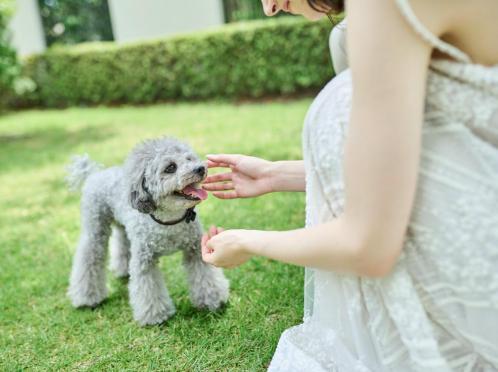 アーフェリーク迎賓館（岐阜）/テイクアンドギヴ・ニーズウェディング ガーデン