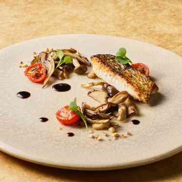 食材のこだわった見た目にも美しいフォトジェニックなコース