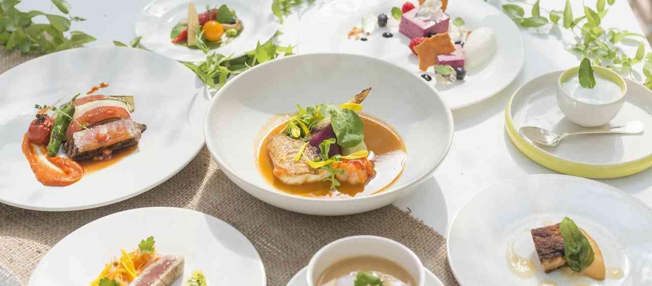 メゾン・ド・ラ・クール Maison de la Cour（旧 ヴィラデマリアージュ高崎） 料理