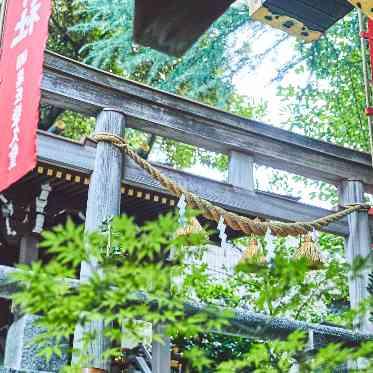 東京大神宮マツヤサロン 東京大神宮