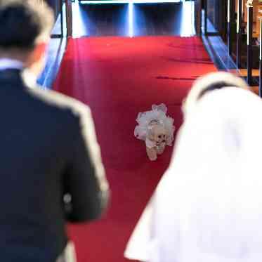 Mia Via(ミア ヴィア) おふたりのもとへ