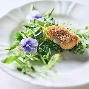 Mia Via(ミア ヴィア) 使用する食材は シェフ自ら日本中をめぐり 農家や漁港と直接契約したものばかり