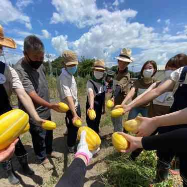 Mia Via(ミア ヴィア) 収穫