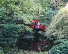 エルムガーデンの画像3