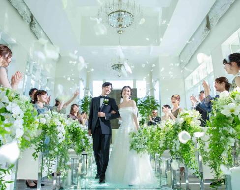 アールベルアンジェAkita