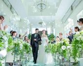 アールベルアンジェAkita