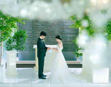 アールベルアンジェAkitaの画像2