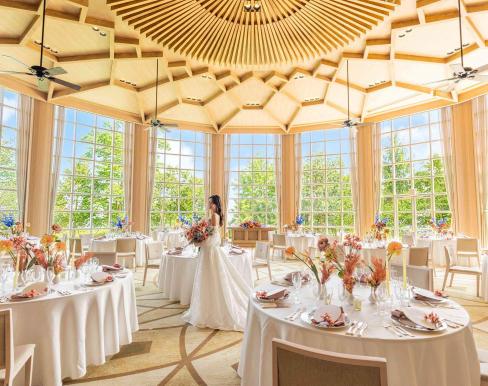 ベル・カシェットの画像4