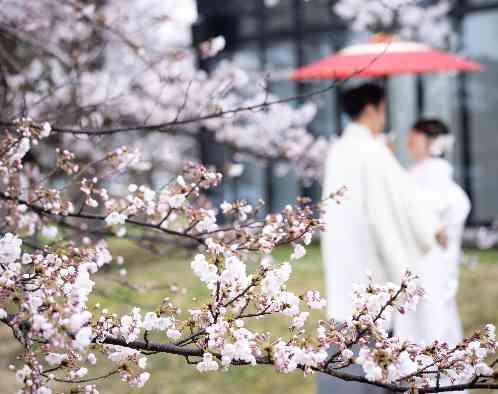 ベル・ブランシェ天童の写真5