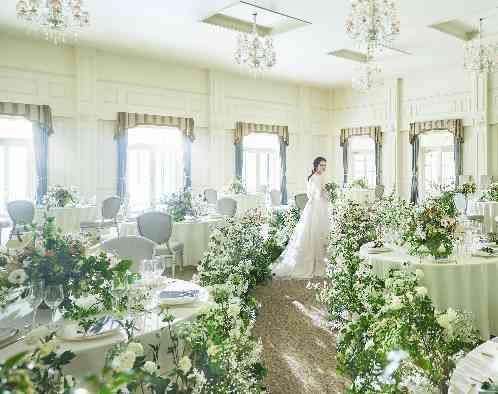 ブライマリーコートの画像2