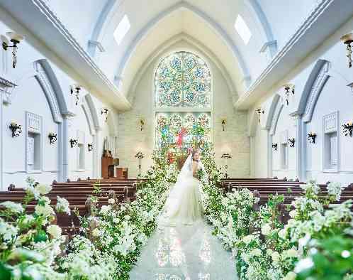 ブライマリーコートの画像3