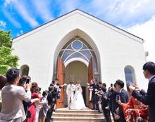 アンシャンテ/アルシェの画像1