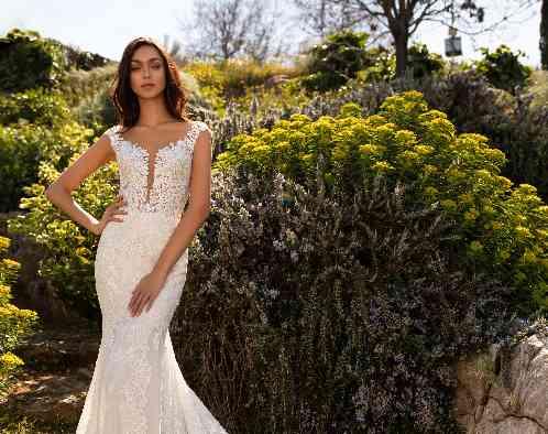 CE LA VI TOKYO(セラヴィ東京)の画像5