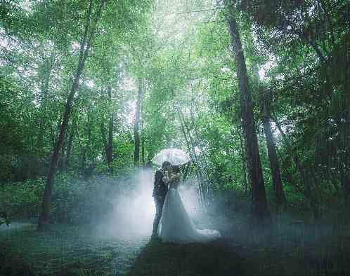 ANELLI軽井沢(アネーリ軽井沢)の写真5