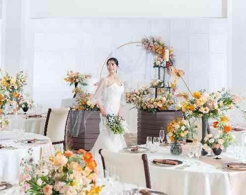 ラシュレ ディアコートの写真2