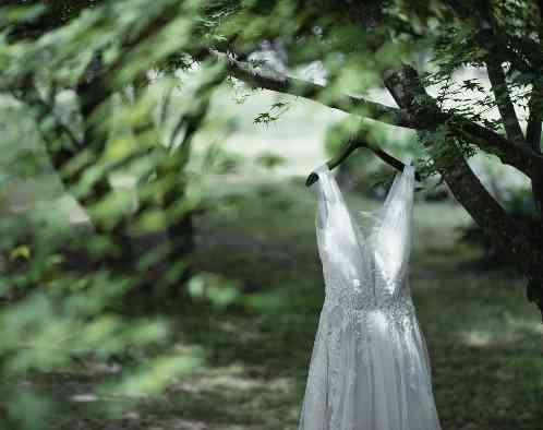 プリムローズガーデン 森と水の教会の画像2